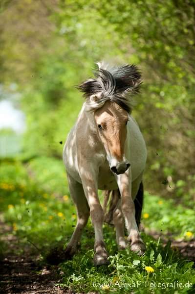 77-03-Erstes Fotoshooting m.Alexandra Pfau 2012