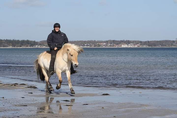 77-04-So lieben wir es.Scharbeutz 2015