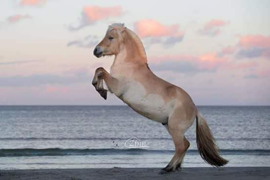 77-05-Frei in Scharbeutz mit Christiane Zinn 2016