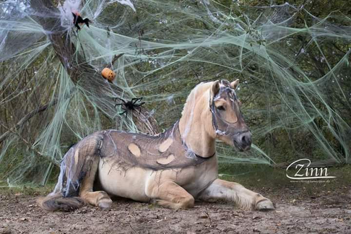 77-06-Halloweenshooting Christiane Zinn 2016