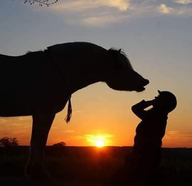 77-08-2018 Sonnenuntergang einfach Traumhaft