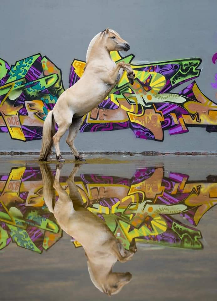 77-09-Fotoshooting mit Lisa Mughrasi 2018