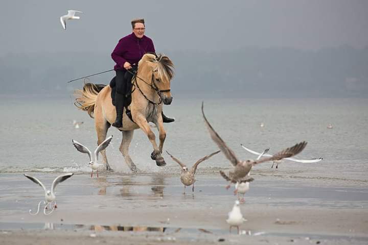 77-16-Scharbeutz Foto Sibylle Osterland