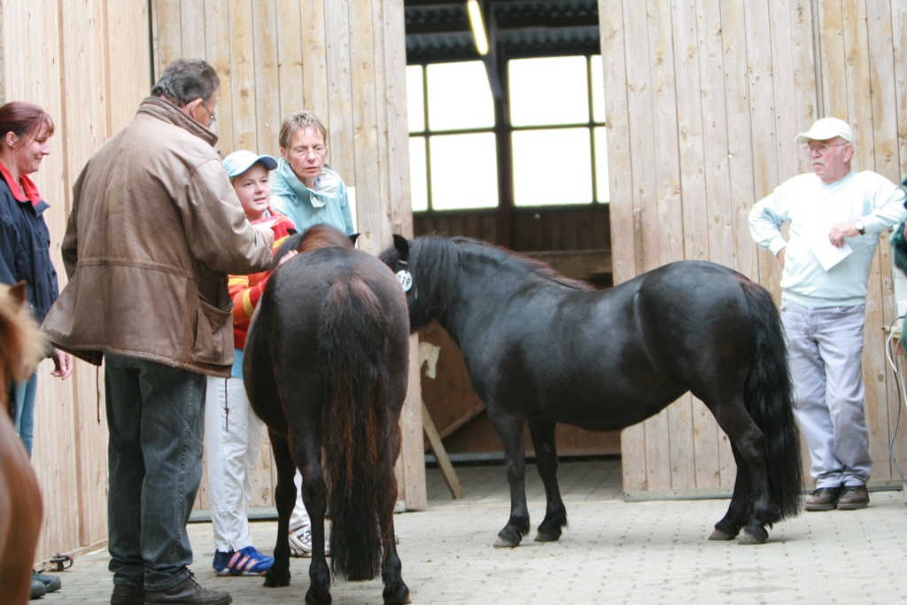 98-02-Großenwiehe 1208