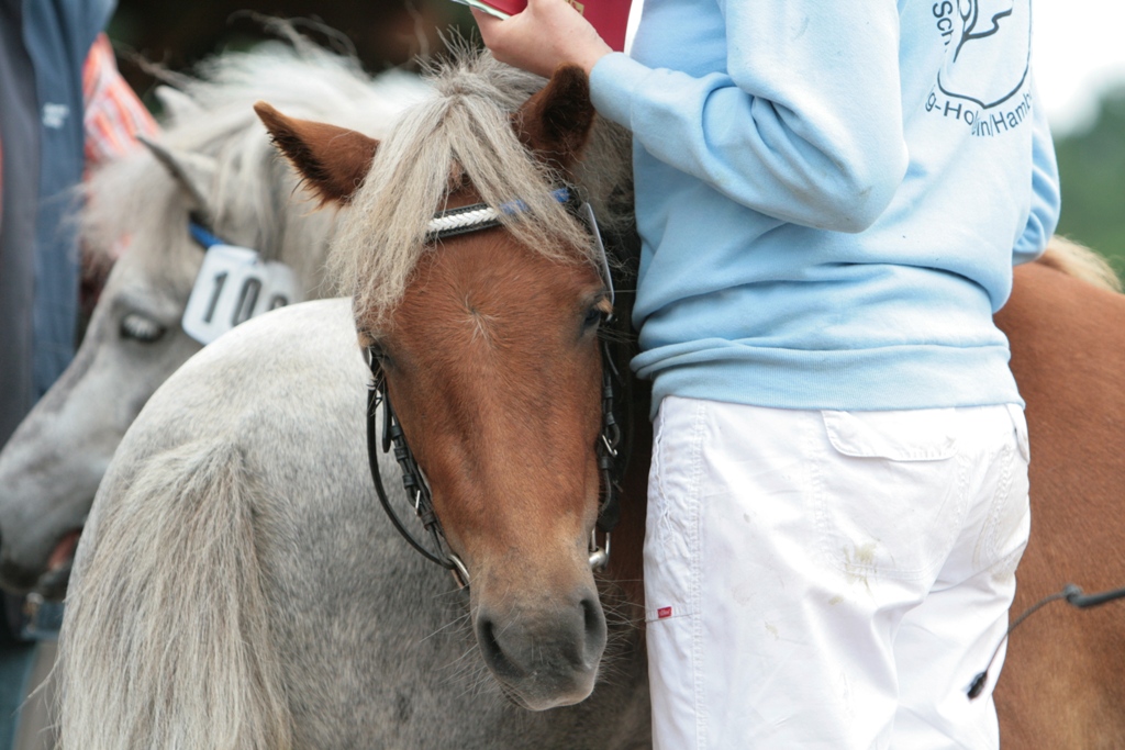 98-02-Padenstedt  1856