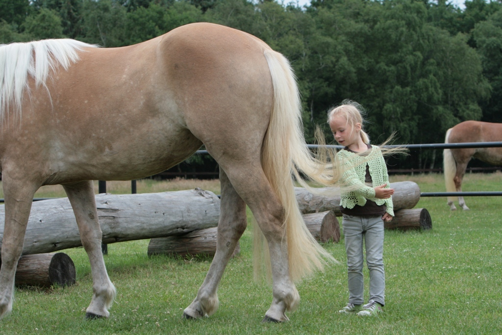 98-08-Padenstedt 1967