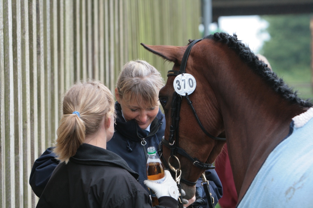 98-11-Großenwiehe 1359