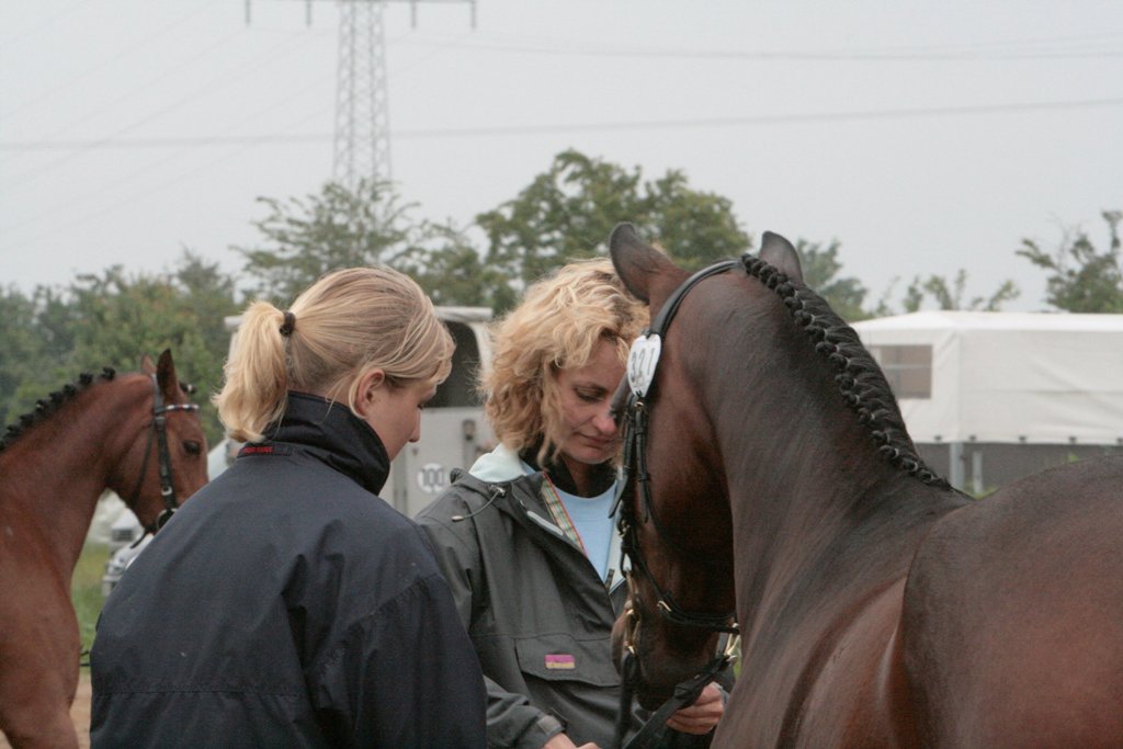 98-12-Großenwiehe 1373