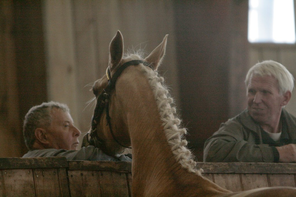 98-14-Großenwiehe 1388