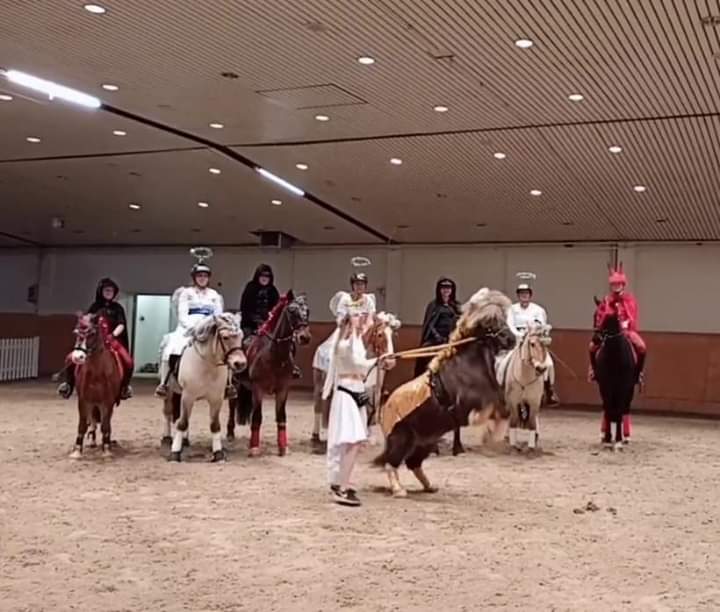 its showtime 2020-01